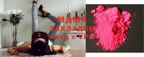 гашик Алексин
