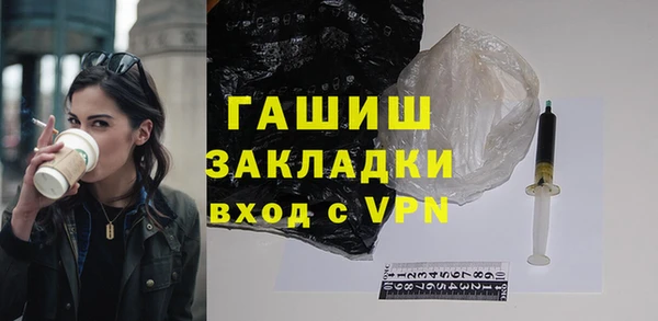 гашик Алексин