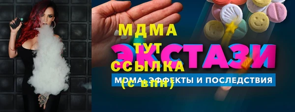гашик Алексин