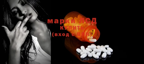 гашик Алексин