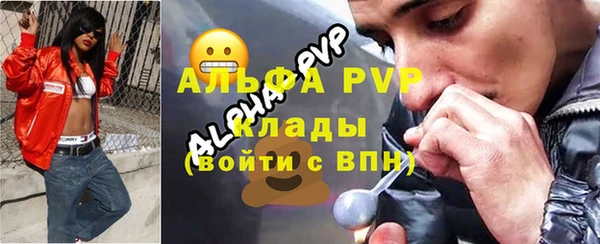 гашик Алексин