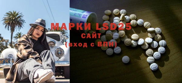 стафф Новодвинск