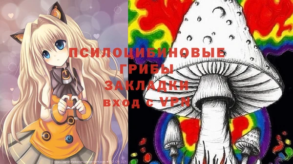 гашик Алексин