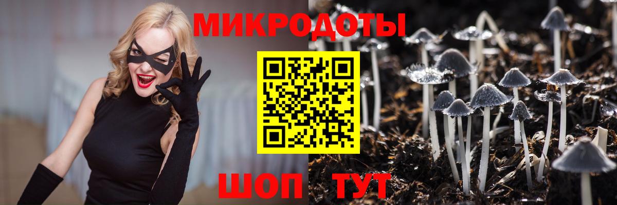 как найти наркотики  Галлюциногенные грибы Psilocybine cubensis  Вход с VPN  Невинномысск 
