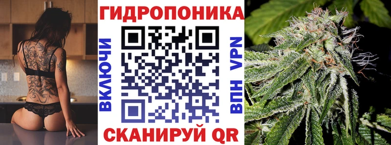 Конопля гибрид  Невинномысск 